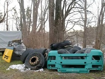 Под Калининградом хозяин фуры оскорбил объект обожания туристов