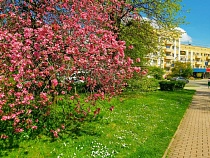 Народ бежит из большой России от аллергии в Калининградскую область