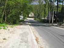 Посадкой новых деревьев компенсируют вырубку под дорогу в Пионерский