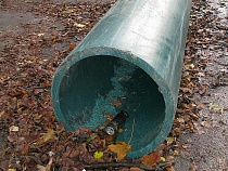 Под Калининградом брат подстрелил брата