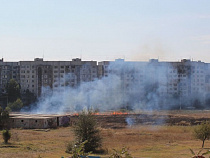 Власти Калининграда назовут того, кто ликвидирует отравляющий город короотвал