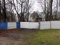 «Как в арабском мире»: Дятлова о заборах в Калининграде