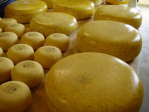 В регион не пустили 10 т белорусского сыра