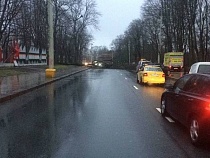 В Калининграде дерево заблокировало центр города