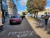 «Агент 007» нашёл место для парковки на тротуаре в Калининграде