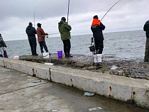 В Балтийске рыбака заставляют заплатить государству 221 тысячу рублей