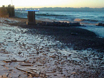 Нелегальному янтарщику пришлось отработать 80 часов в ЖЭКе Зеленоградска