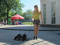 Питомцев Калининградского зоопарка иногда выводят на прогулку