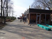 На владельца участка в парке Беккера в Янтарном поданы три иска