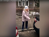 Появилось видео пенсионерки, мстящей автомобилю в Калининграде: «Ещё разочек по стеклу?!»