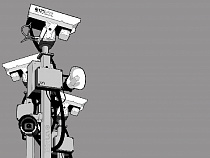 МЧС поможет "большому брату" следить за Калининградцами пристальнее