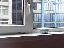 Житель Зеленоградска разбил стекло в кухне незнакомой юбилярши