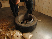 Польские  таможенники задержали в Гжехотках 16 килограммов янтаря из Калининградской области