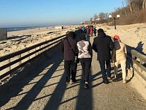 В Янтарном расчищают променад от песка (видео)