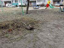 В Гвардейске нашли артиллерийский снаряд