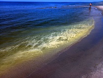 У Калининградской области внезапно пожелтело Балтийское море