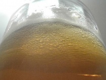 В Калининграде продавец украл из своего магазина пиво, закуску и деньги