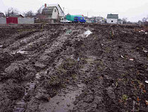 Власти: новые улицы Калининграда будут строиться за счёт старых дач