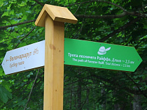 Штрафы платит 40% нарушителей режима охраняемых природных территорий