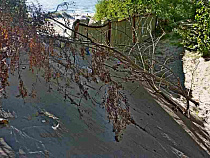 Авандюна засыпает забор “айвазяновского” садика (видео)