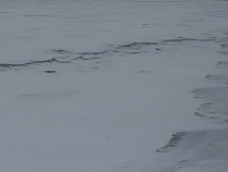 «Чистоту» засудили за гололёд на тротуаре  