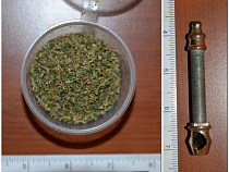 В Калининграде накрыли наркопритон 