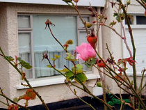 Калининградка, не дождавшаяся квартиры в Балтийске, засудила риэлтора