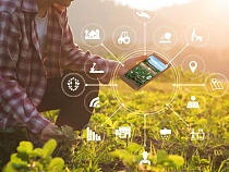 От виртуальной реальности до точного земледелия: РСХБ и «Сколково» ищут инновации для agro и fintech