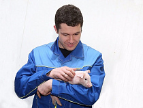 Экологию вокруг "Правдинского свинопроизводства" обсудят с губернатором - Росприроднадзор