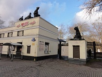 В зоопарке Калининграда решили пересидеть ураган под замком 