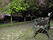 СК возбудил дело против морального урода