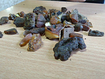 Два старателя задержаны под Зеленоградском за незаконную добычу янтаря