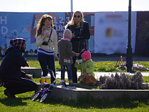 Более 70% россиян поддержали инициативу продажи алкоголя с 21 года