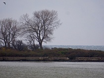 На Балтийской косе обещают оборудовать пляж