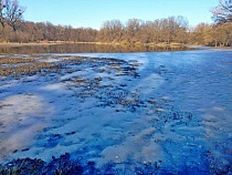 Калининградскую область отморозит короткой засухой