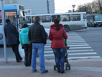 За февраль калининградские пешеходы 1 363 раза нарушили ПДД