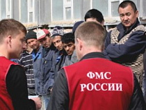 С начала года из Калининградской области выдворено 210 нелегалов