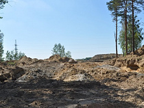 Под Светлым незаконную добычу янтаря маскировали под рекультивацию земель