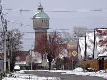 В Полесске собака прокусила икру случайной женщине