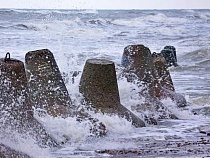 Калининградскую область о новом диком ветре предупредили вполголоса