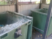 В Зеленоградске неизвестные забросали мусорные контейнеры кирпичами