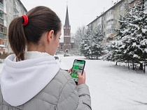 18-летняя из Калининграда за деньги отдавала уголовникам свои карты