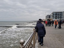 «Плакала как над детьми»: у художницы из Зеленоградска порезали картины