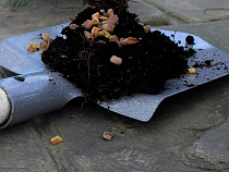 Вымогатели денег с ловцов янтаря все-таки сядут суммарно на 14 лет