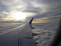 Прямой авиарейс Калининград – Омск могут вернуть в 2019 году