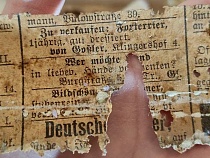 В Калининграде нашли скрытые послания хозяев собак из Кёнигсберга