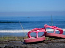 В Калининграде стартовала продажа путевок в загородные лагеря