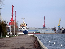 По делу уволенной из-за кошки уборщицы в Светлом проходят два директора 