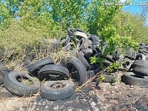 Вагоностроительный завод в Калининграде уличили в нелегальной резине