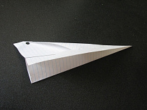 В Калининграде создадут самый большой бумажный самолётик